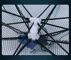 Two-pack crawfish traps opened for use