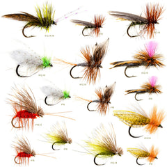 Front view of 24-realistic caddis dry fly assortment