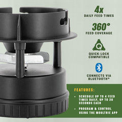 360-degree feed coverage illustration