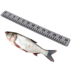 36-inch EVA foam fish ruler with self-adhesive backing attached to a boat surface
