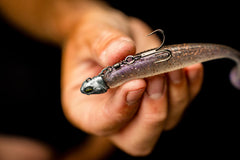 6th Sense screw-lock bait keeper securing soft plastics for reliability.