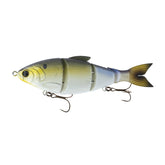 6th Sense Trace 6.0 floating front view, lifelike gizzard shad detail for shallow water bass