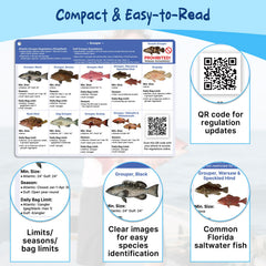 OCQOT Florida Saltwater Fish & Shark ID Card 2 Front - Fish Gallery