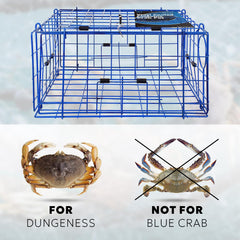 Crab trap showing four entrance doors and two escape rings