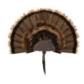AC ALLEN EZ Mount Turkey Fan Display showcases one fan securely mounted.