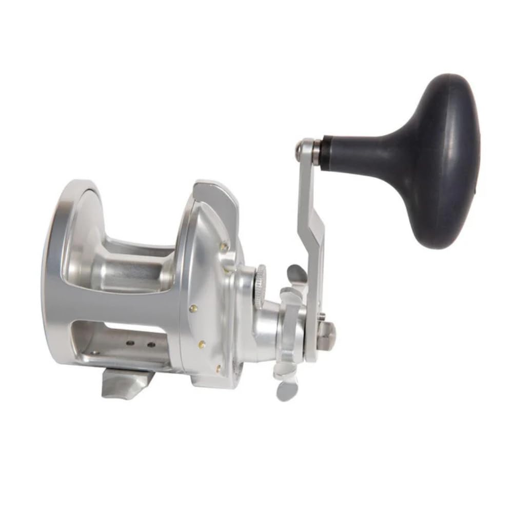 ACCURATE Tern2 TXD reel side view showing sturdy build for all-day fishing.