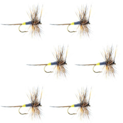 Adams Female Classic dry fly set – six size 12 flies