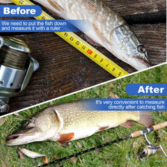 Adhesive backing of the fish measuring tape sticker