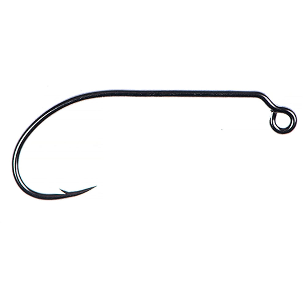 Ahrex PR360 50 Degree Jig Hook front view, rugged wire for demanding fishing conditions.