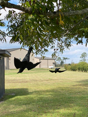 AirCrow DeadCoy hanging deterrent for garden, reduces crow visits.