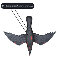 AirCrow DeadCoy two-piece durable plastic construction, weather resistant.