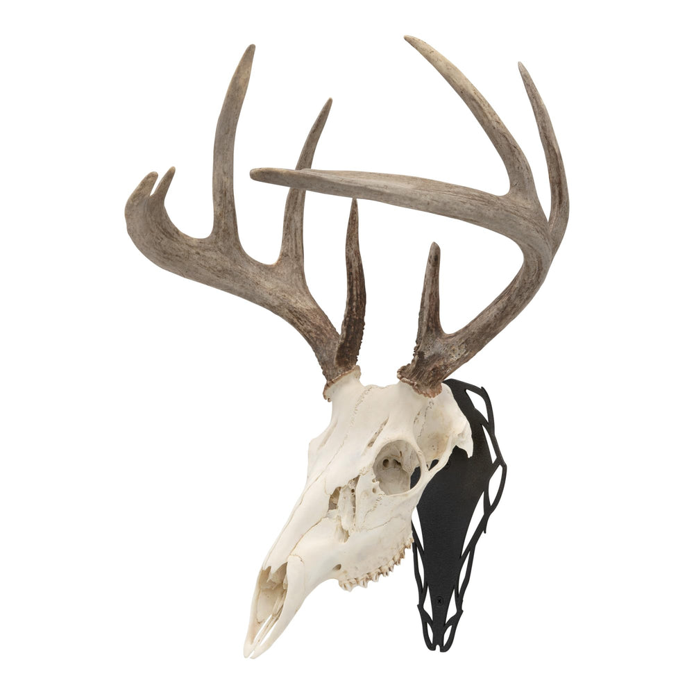 Front view of Allen Company EZ Mount Silhouette Skull Peg Black
