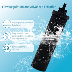 Amestar Pur Berkey BB9-2 filter-media closeup highlights carbon filtration