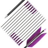 AMEYXGS 12-pack arrows pack-shot in purple and white for target practice.
