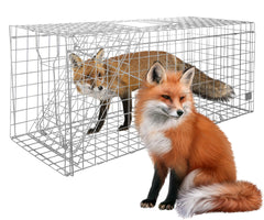 Ansgery large animal trap front view demonstrates a humane wildlife capture option.