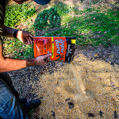 Antler King Apple Burst attractant in a woodland hunting scene at dusk