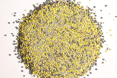 Antler King Booner Buffet field seeding for a quarter-acre plot