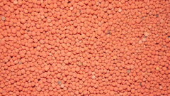 Antler King Honey Hole mix demonstrates quick green-up after frost.