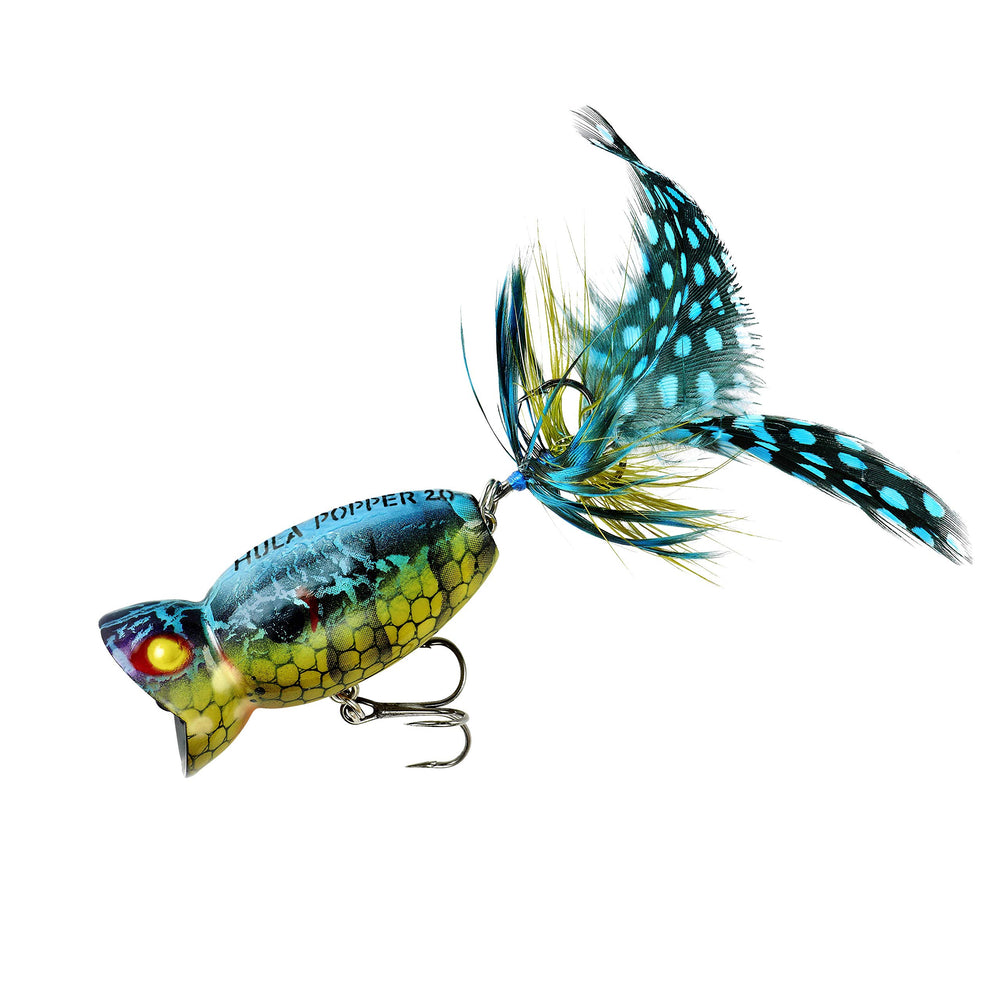 Arbogast Hula Popper 2.0 in blue kill showcases classic topwater action for freshwater fishing.