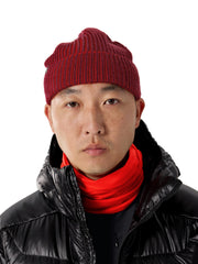 Arc'teryx Ribbed Toque front view demonstrating warm wool-blend for winter hiking.