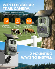 Assark Trail Camera night vision demonstrates clear nocturnal footage with minimal wildlife disturbance.