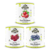Augason Farms Freeze Dried Berries Kit collection in can shows pantry-friendly snack option.