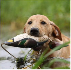 Avery EZ-Bird soft floating body enables safe water work.
