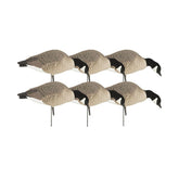 Avery GHG Hunter Canada Feeder Full Pack with realistic decoys for field spreads