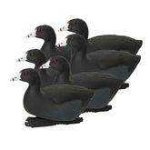 Avery GHG Hunter Series over size coot duck decoy on water boosts spread realism
