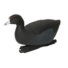 Avery GHG Hunter Series coot decoy silhouette in calm water showing true to life posture