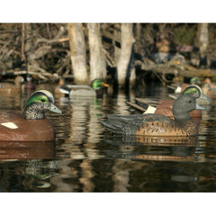 Avery GHG Hunter Series Wigeon 60-40 Dura-Keel design stabilizes spread in wind