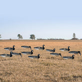 Avery GHG windsock decoy with painted Canada goose heads for realistic field setups.