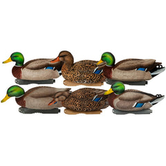 Avery GHG Pro-Grade XD active drake decoy enhances lifelike field setups.