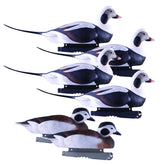 Avery PG long-tailed ducks decoys with ultra-realistic carvings for convincing field setups.