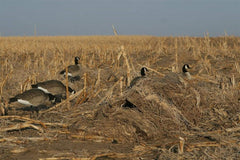 Avery KillerWeed Layout Blind Kit with palm-fiber camouflage for durable field concealment
