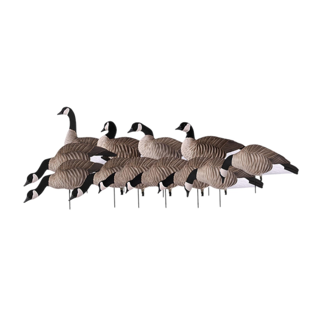 Avery Lesser Canada Harvester decoys in full-body pose for realistic field presentation