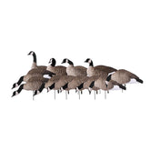 Avery Lesser Canada Harvester decoys in full-body pose for realistic field presentation