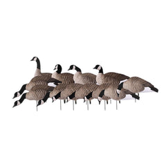 Avery Lesser Canada Harvester decoys in full-body pose for realistic field presentation