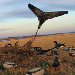 Avery Outdoors Super Flag golf-style handle allows comfortable, quick flagging in the field.