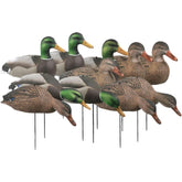 Avery over-size Mallard Shell Harvester Drake decoy offers full-body realism for field spreads.