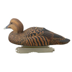 Avery PG Eiders in-water display shows durable, pro-grade construction.
