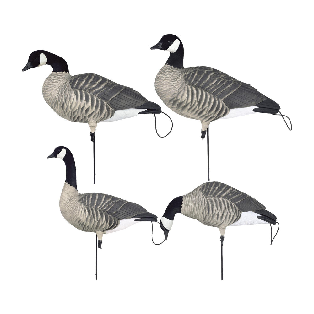 Avery Pro-Flex harvester walker decoy in field setting enhances realism and spread visibility.