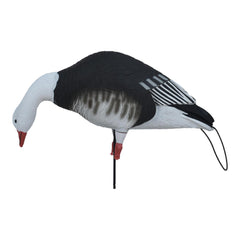 Avery Pro-Flex tail loops enable quick setup and hauling