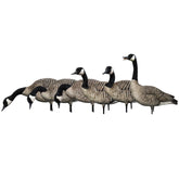 Avian-X AXP Honkers Fusion Pack full-body decoy with realistic paint for lifelike flock visuals