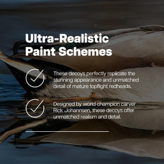 Avian-X Canvasback shows four postures for realistic open-water presence.