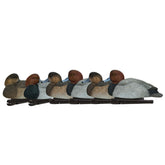 Avian-X Canvasback open-water decoy in natural stance for attracting divers.