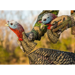 Avian-X HDR Jake with quarter-strut stance and realistic feather details for convincing presence.
