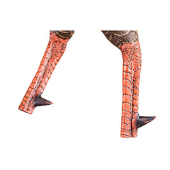 Avian-X HDR Strutter tail fan adjustable for mature or Jake poses