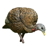 Avian-X LCD Feeder Hen Decoy collapsible, ideal for quick field transport and setup.