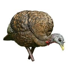 Avian-X LCD Feeder Hen Decoy collapsible, ideal for quick field transport and setup.